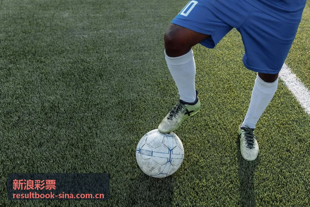 新浪彩票大乐透前区后区玩法规则图示